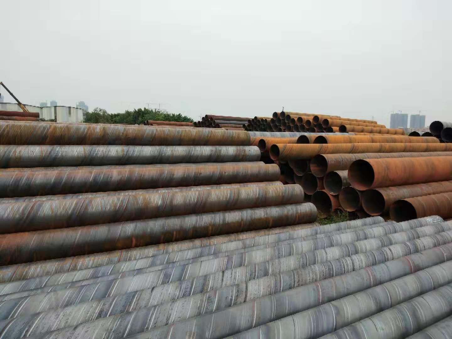 <b>�����ֹ�</b>