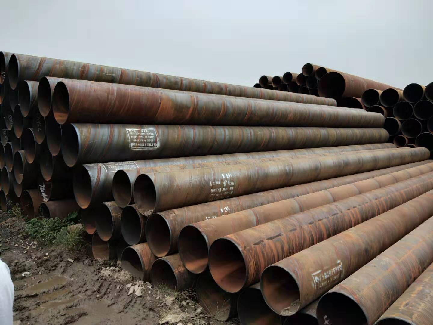 <b>�����ֹ�</b>